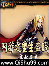 网游之重生盗贼小说