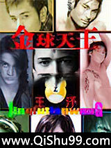 金球天王小说