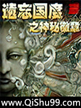 遗忘国度之神秘徽章小说