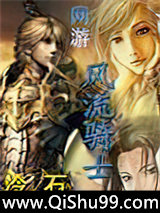 网游之风流骑士小说