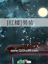 [红楼]男装小说