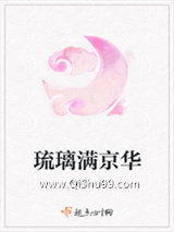 琉璃满京华小说