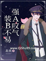 装B不易，强A叹气小说
