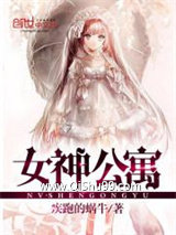 女神公寓小说