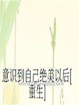 意识到自己绝美以后[重生]小说