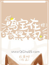 鸣宝在暗黑本丸小说