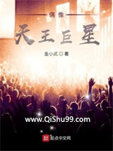 偶像天王巨星小说