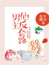 男主他反套路小说