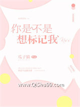 你是不是想标记我小说