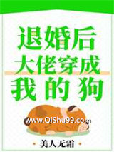 退婚后，大佬穿成我的狗小说