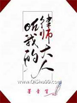 oh我的律师大人小说