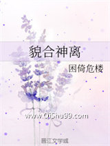 貌合神离小说