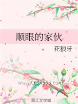 顺眼的家伙小说