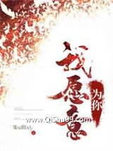 我愿意为你小说