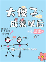 大傻子成亲以后小说