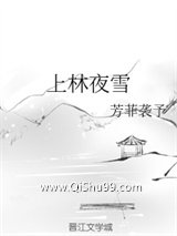 上林夜雪小说