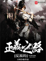 反派的正义之路小说