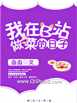 我在B站做菜的那些日子小说