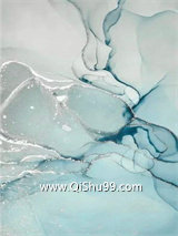 双Alpha怎么了小说