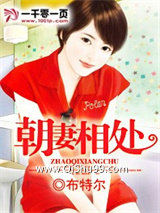朝妻相处小说