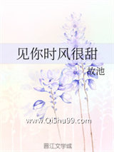 见你时风很甜小说