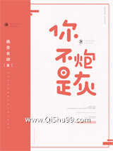 你不是炮灰小说