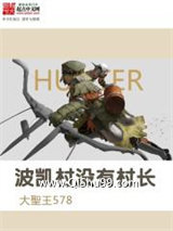 波凯村没有村长小说