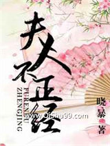 夫人不正经小说