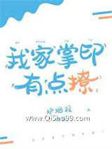 我家掌印有点撩小说