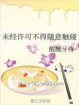 未经许可不得随意触碰小说