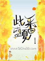 此番盛夏小说