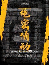 绝密情动小说