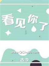 看见你了小说