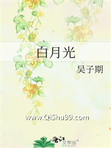 白月光小说