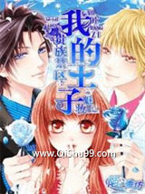 贵族禁区：我的王子小说