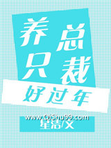 养只总裁好过年小说