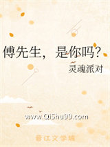 傅先生，是你吗？小说