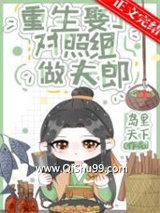 重生娶了对照组做夫郎小说