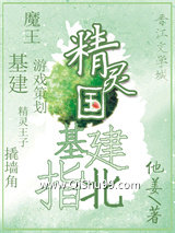 精灵国基建指北小说