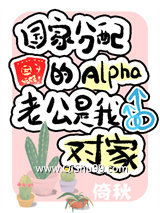 我与对家C位成婚小说