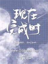 现在完成时小说