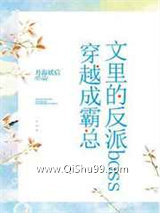 反派boss抢走了霸总小说