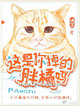 这是你掉的胖橘吗小说