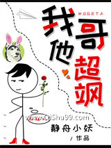 我哥他超飒小说