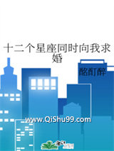 十二个星座同时向我求婚小说