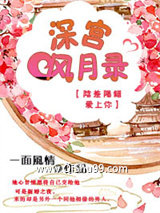 深宫风月录小说