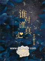 谁对谁真心小说