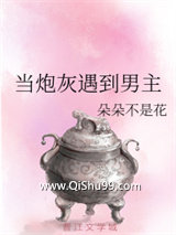 当炮灰遇到男主小说