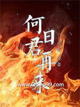 何日君再来小说