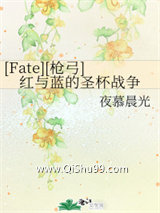 [Fate][枪弓]红与蓝的圣杯战争小说